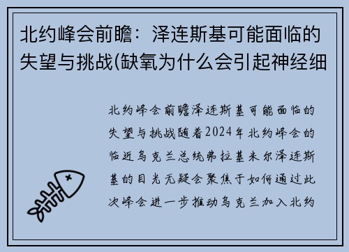 北约峰会前瞻：泽连斯基可能面临的失望与挑战(缺氧为什么会引起神经细胞兴奋性降低)