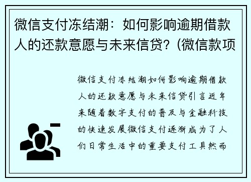 微信支付冻结潮：如何影响逾期借款人的还款意愿与未来信贷？(微信款项被冻结)