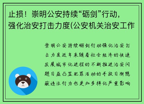 止损！崇明公安持续“砺剑”行动，强化治安打击力度(公安机关治安工作亮点)